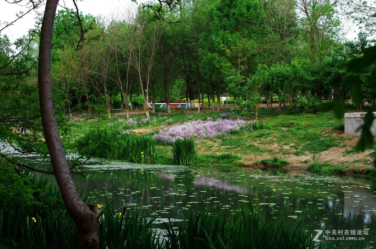 2019北京奧森公園北園靜靜的河邊