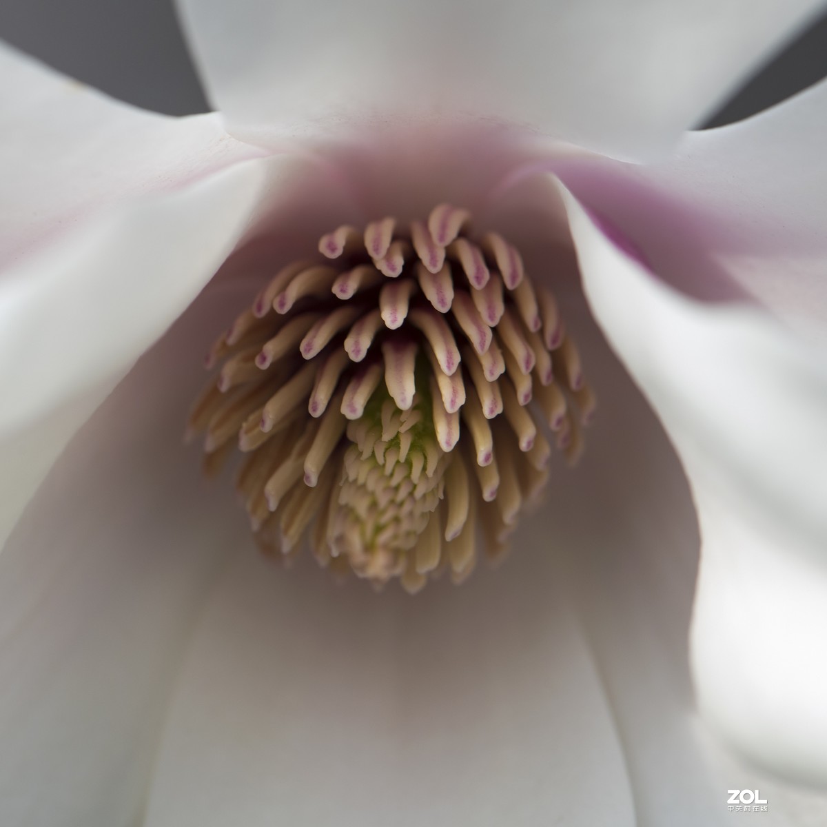 只能在小区院子里“旅游”啦