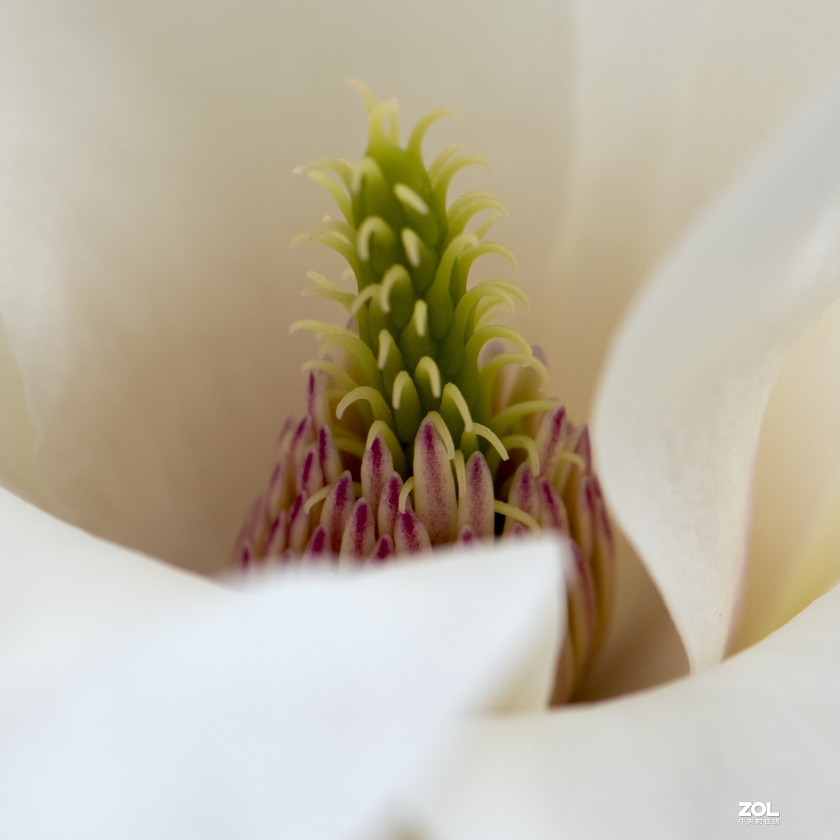 只能在小区院子里“旅游”啦