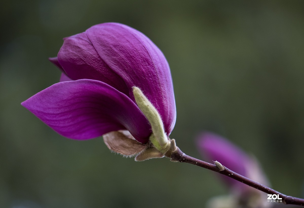 只能在小区院子里“旅游”啦