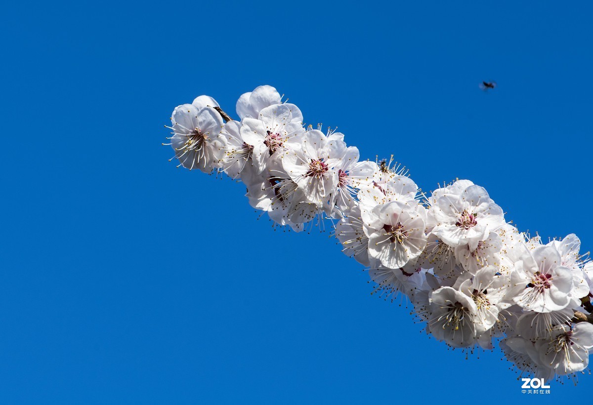 只能在小区院子里“旅游”啦