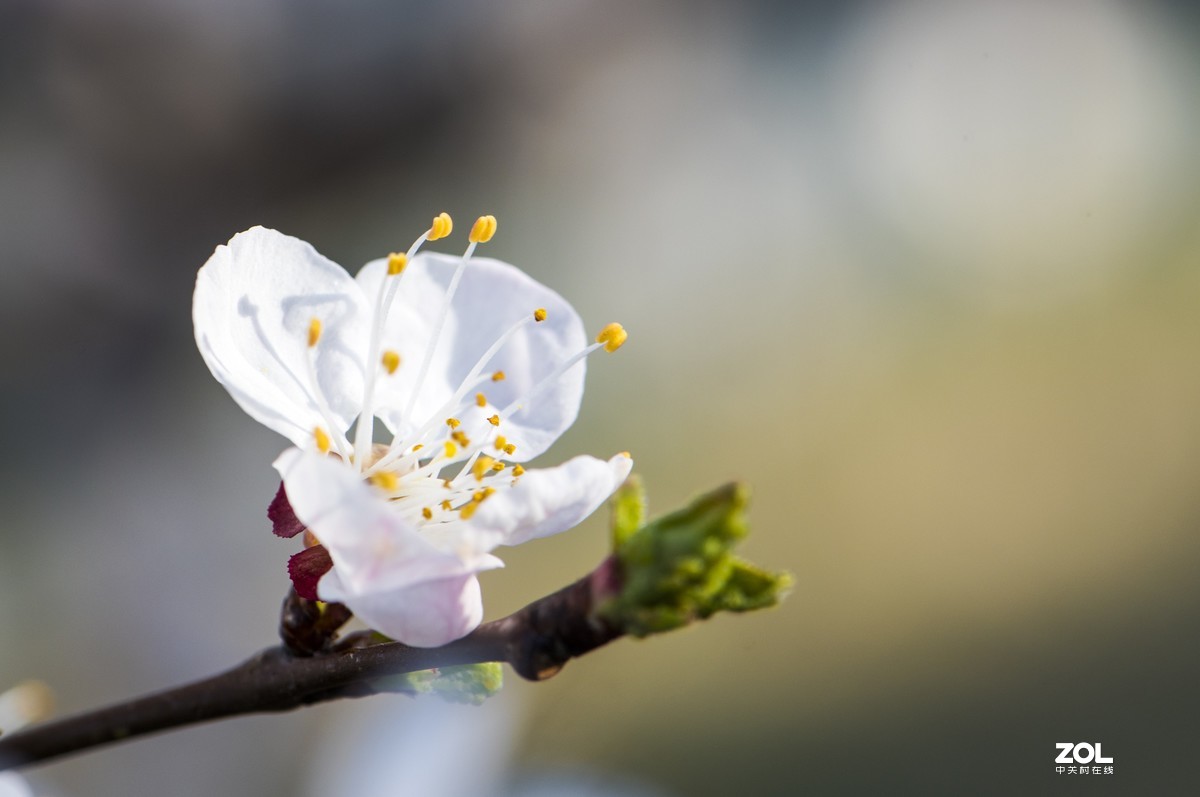 只能在小区院子里“旅游”啦