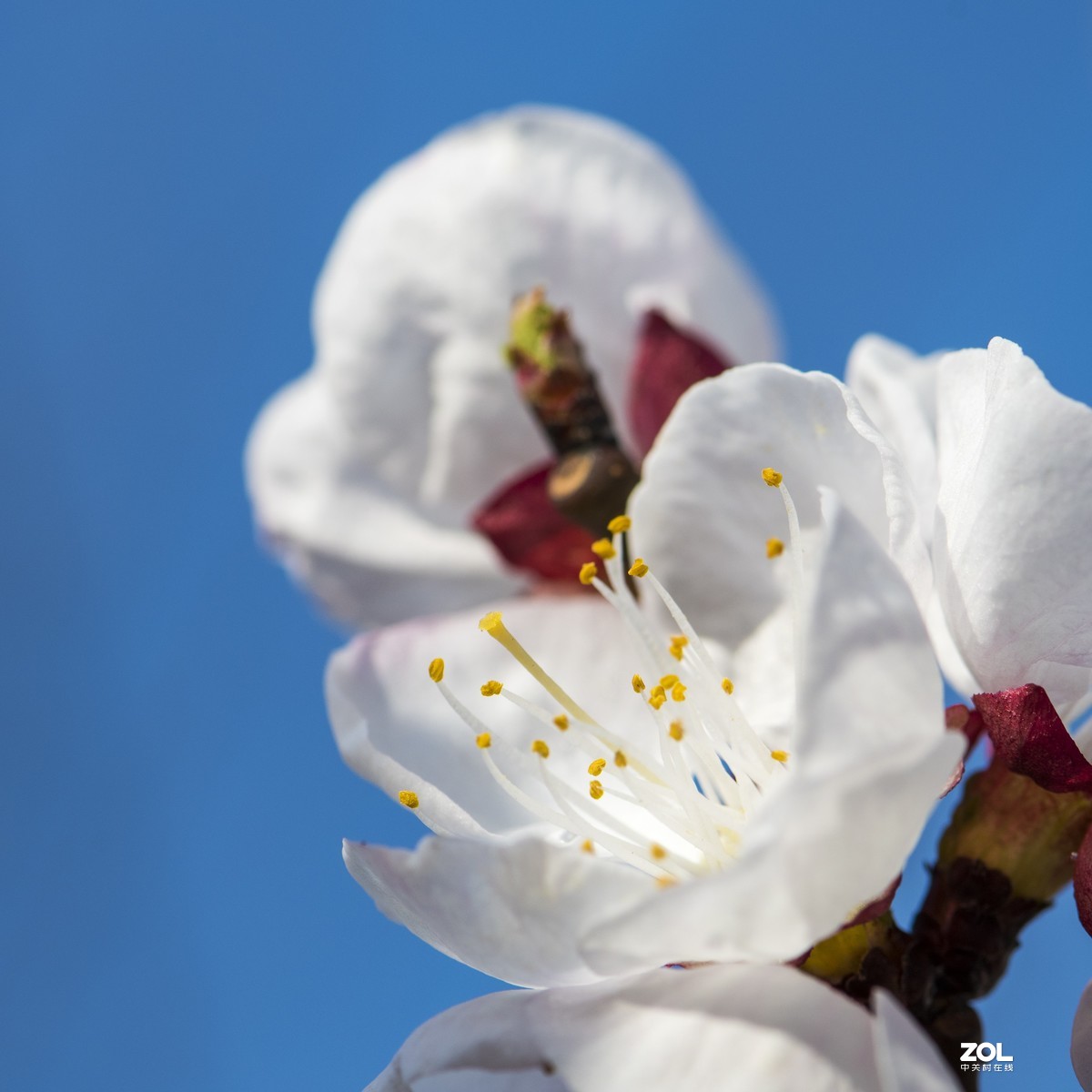只能在小区院子里“旅游”啦