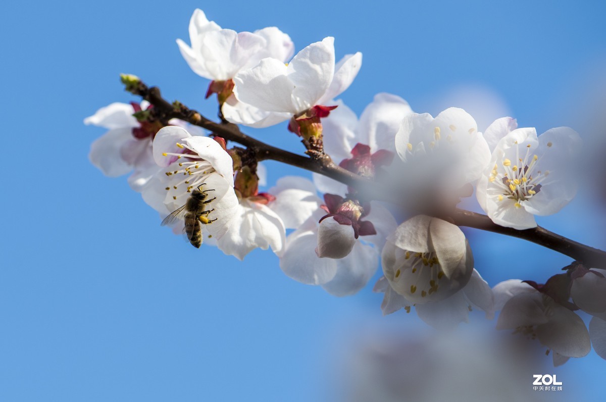 只能在小区院子里“旅游”啦
