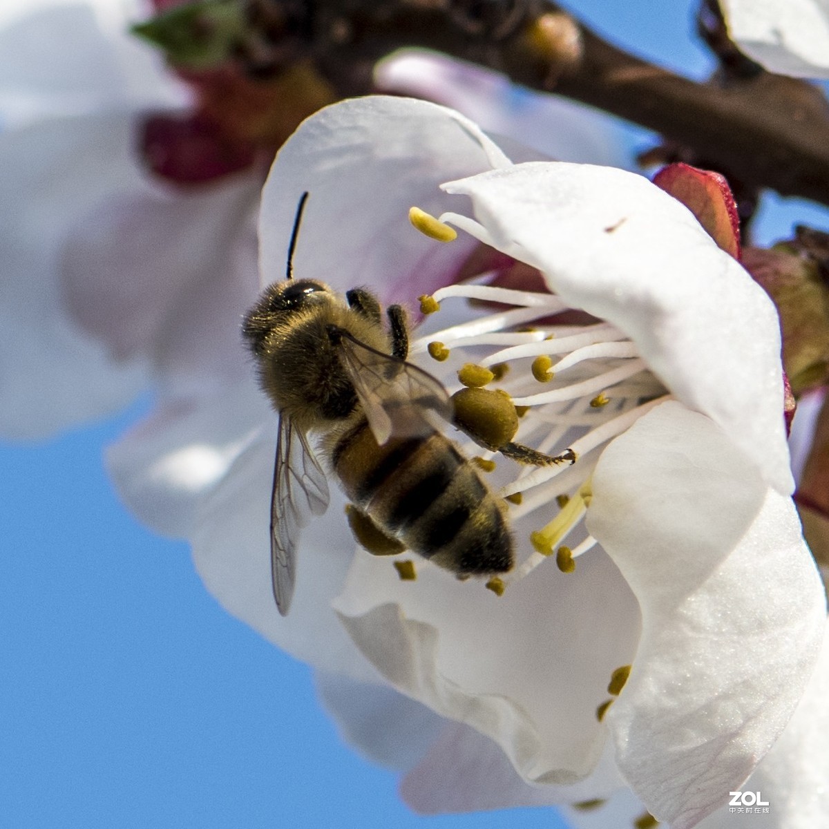只能在小区院子里“旅游”啦