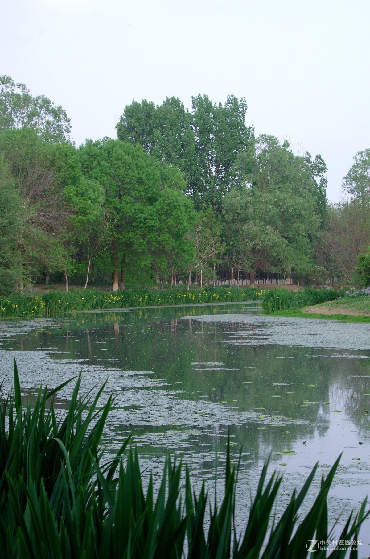 2019北京奥森公园北园静静的河边