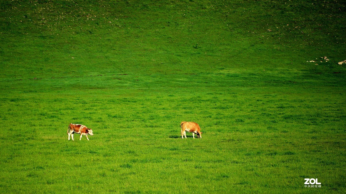 向着梦想的地方出发---呼伦贝尔
