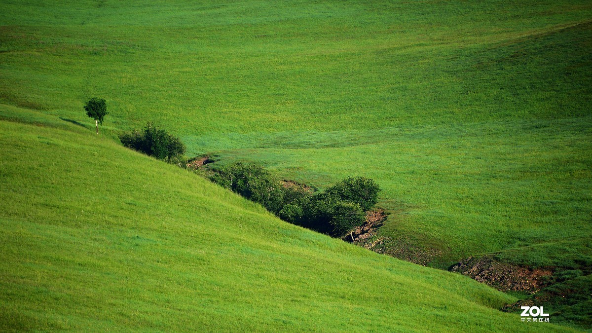 向着梦想的地方出发---呼伦贝尔