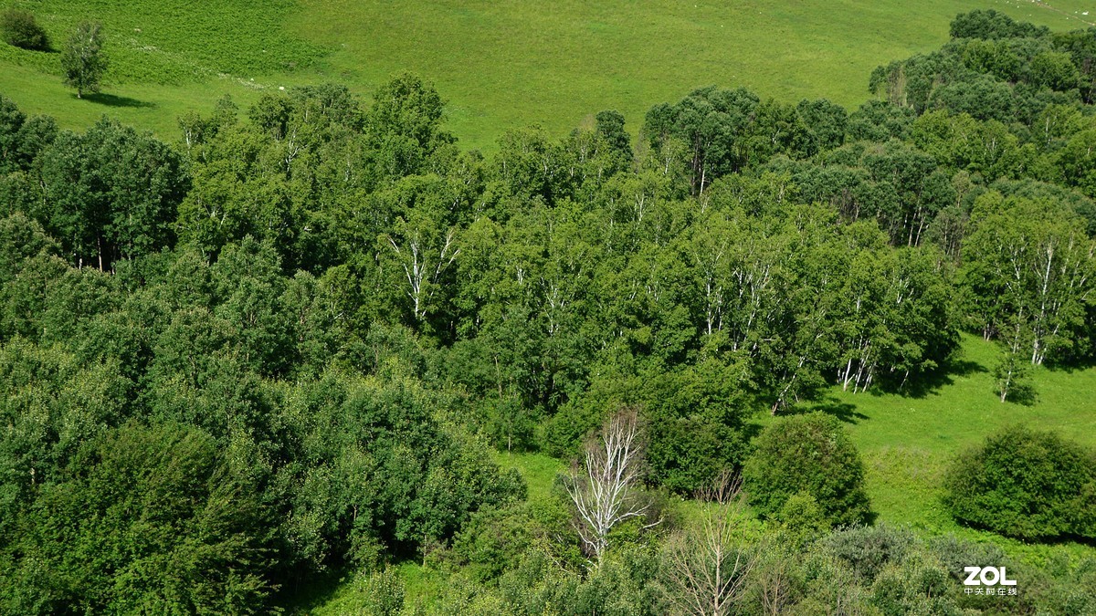 向着梦想的地方出发---呼伦贝尔