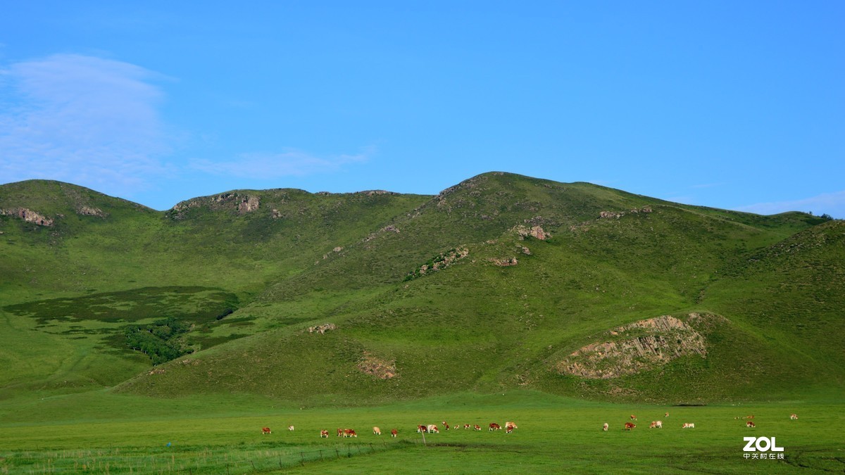 向着梦想的地方出发---呼伦贝尔