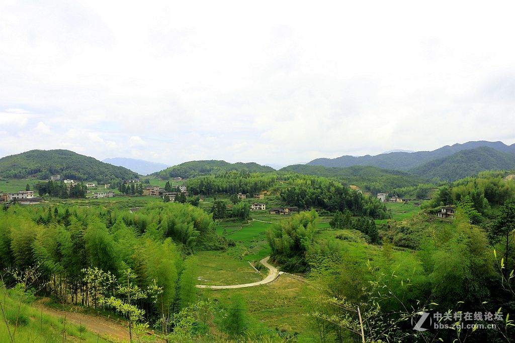 绿色的田野