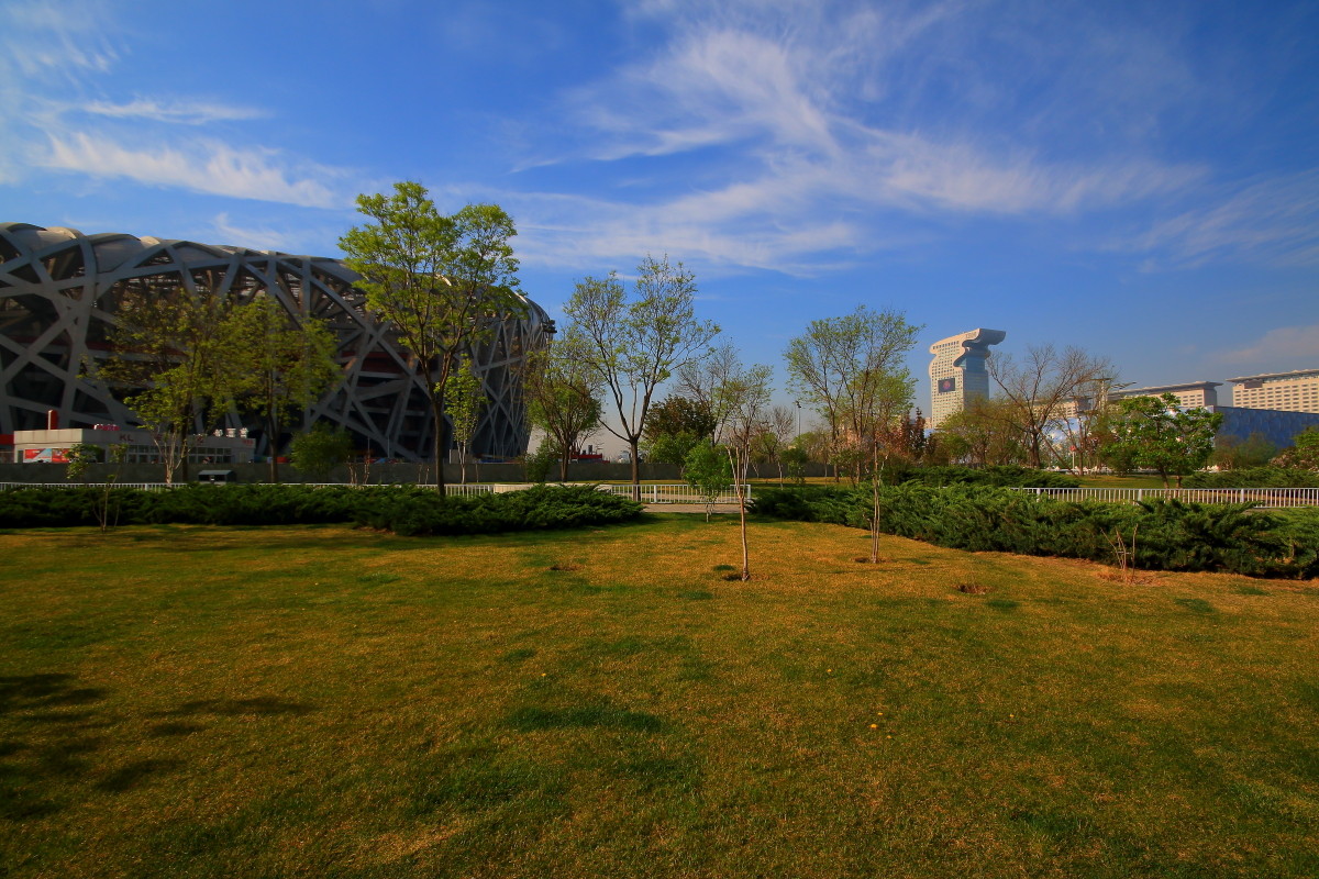 清晨的奧林匹克公園