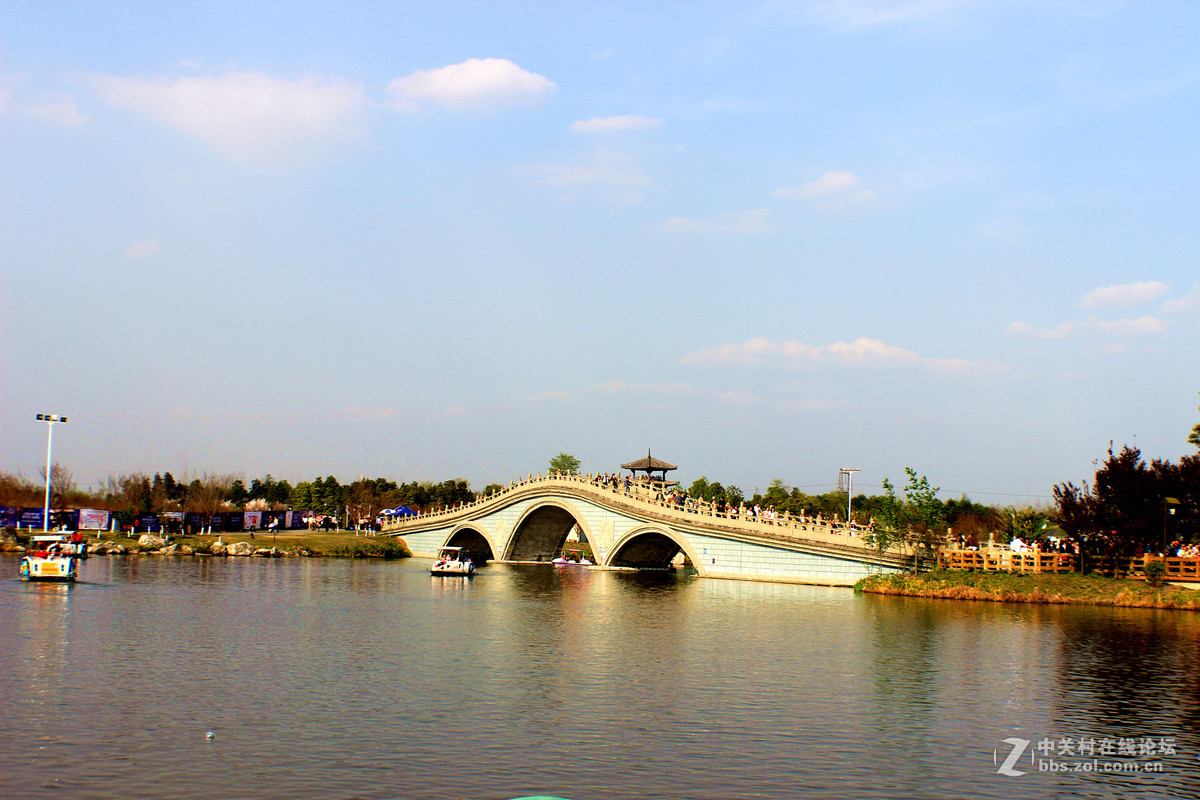 春醉青白江浪漫樱花节