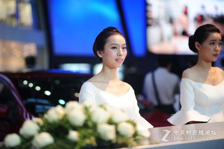 2015-6-6深港澳车展