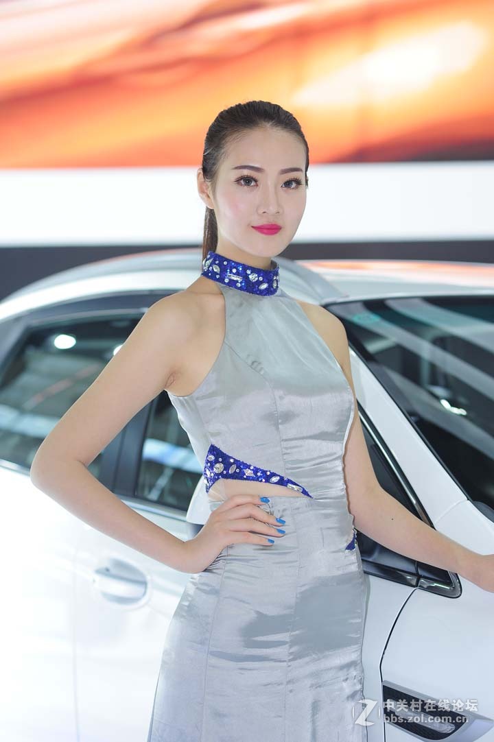 2015-6-6深港澳车展