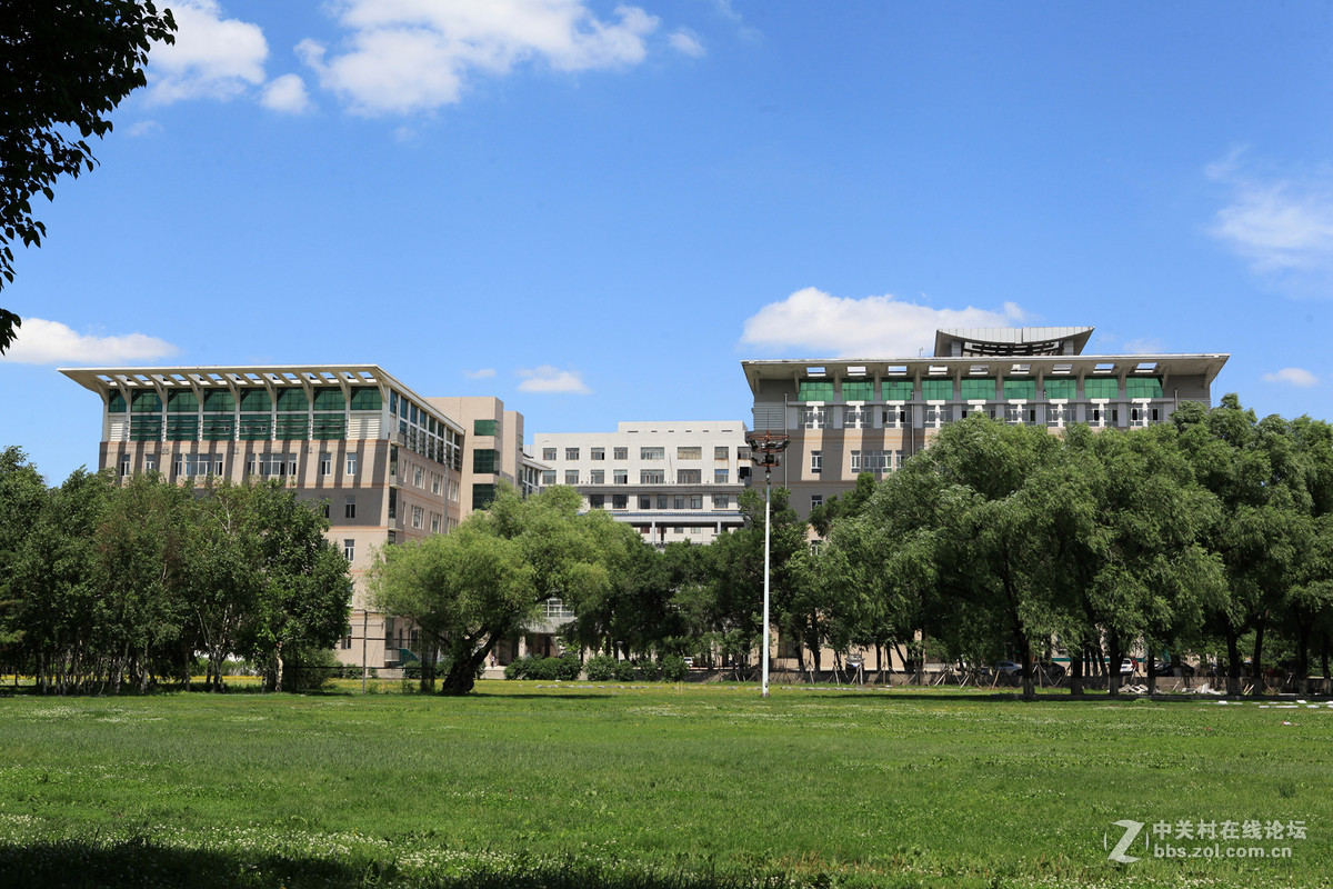 大学校园掠影哈尔滨东北林业大学