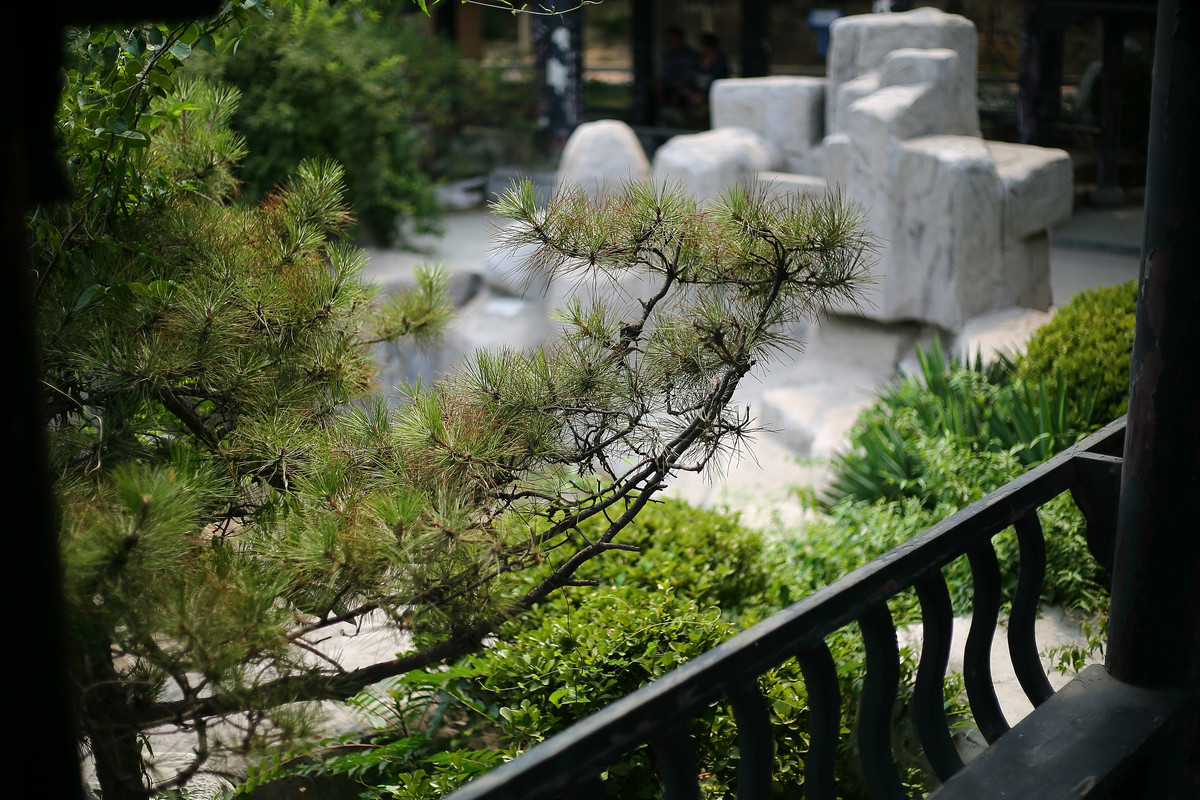 感觉小痰盂的氛围感