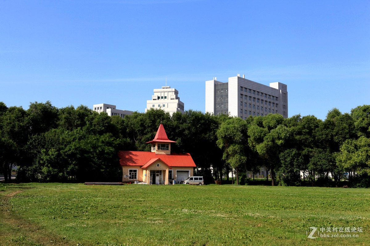 大学校园掠影哈尔滨东北林业大学
