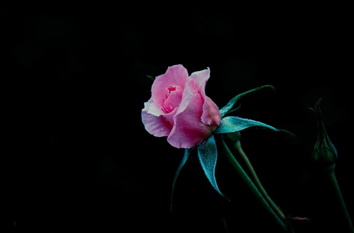 五一节难得出去，带上小五试镜雅西卡45/1.7