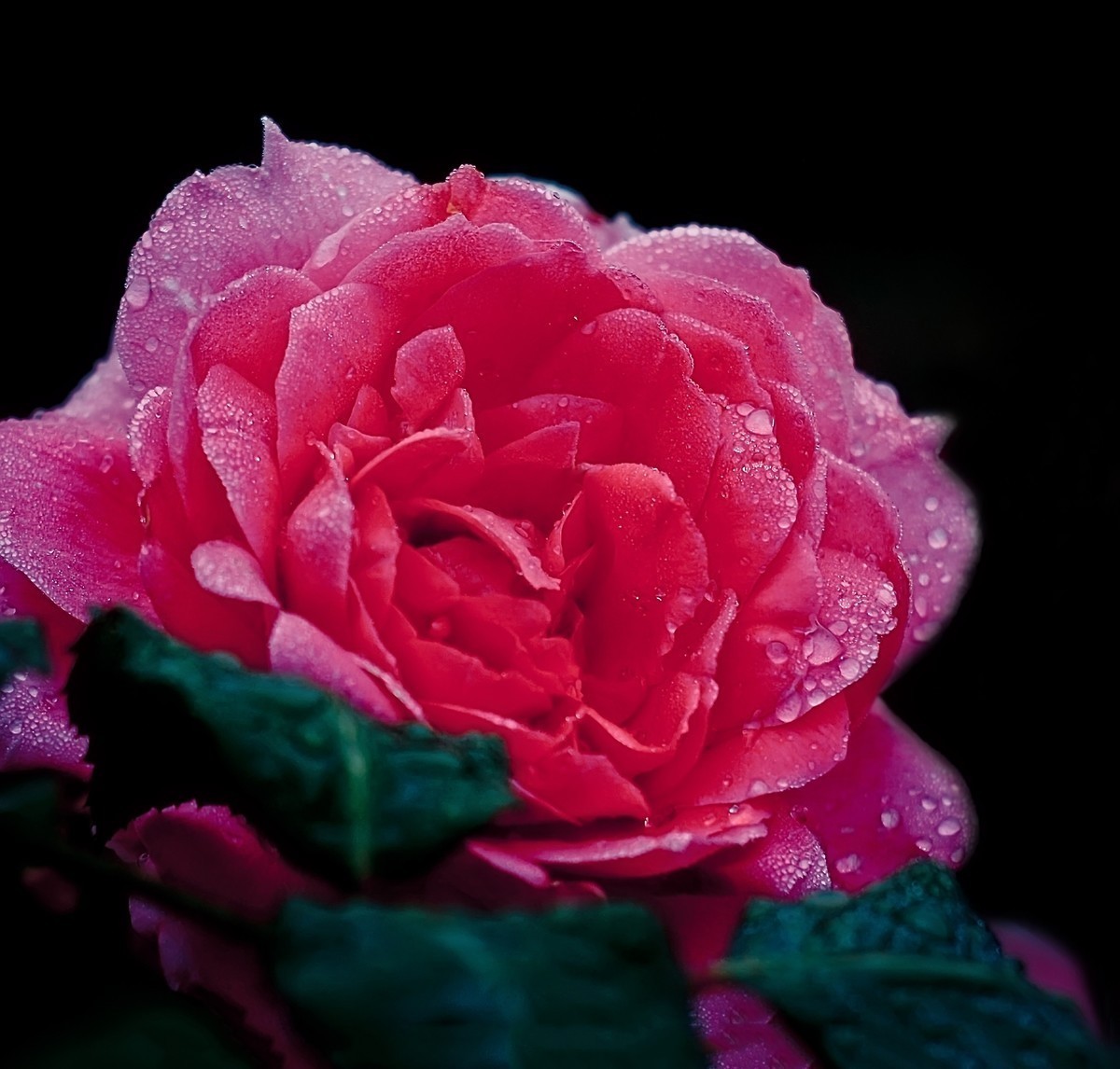 五一节难得出去，带上小五试镜雅西卡45/1.7