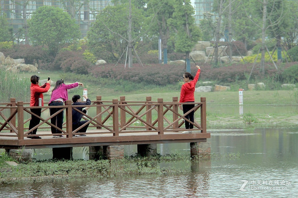 芦桥沟湿地公园