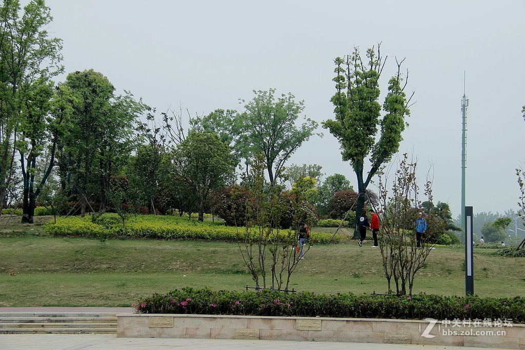 芦桥沟湿地公园