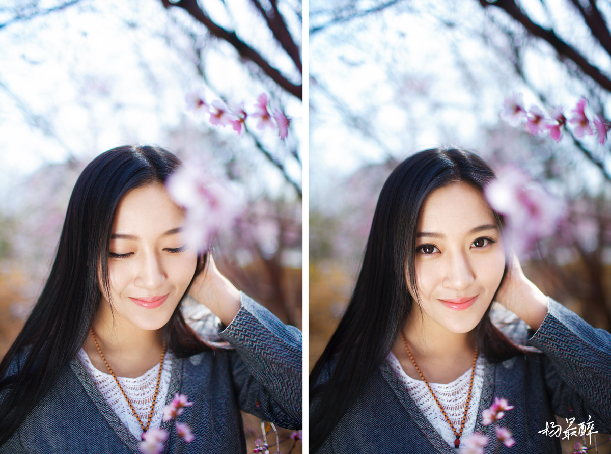 紫珏花——杨最醉