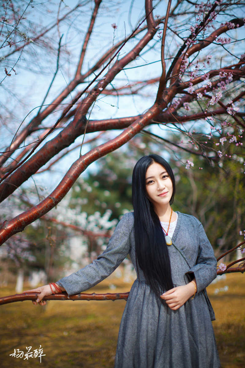 紫珏花——杨最醉