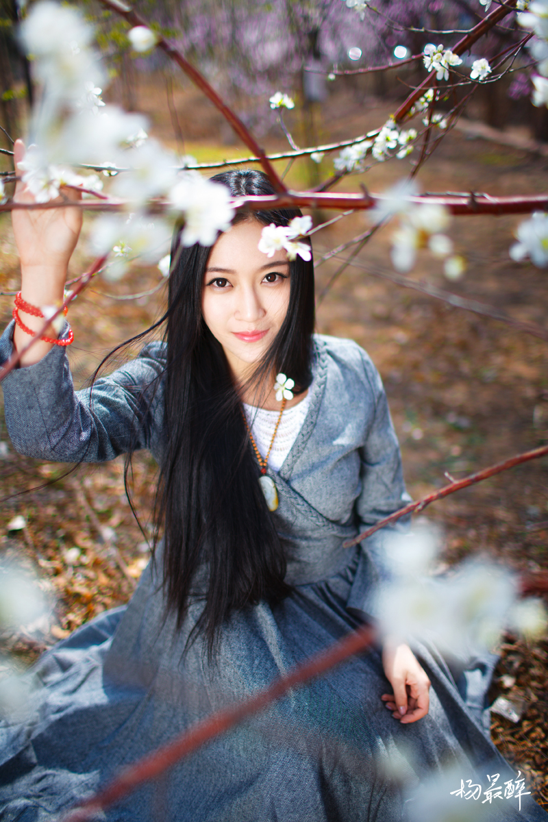 紫珏花——杨最醉