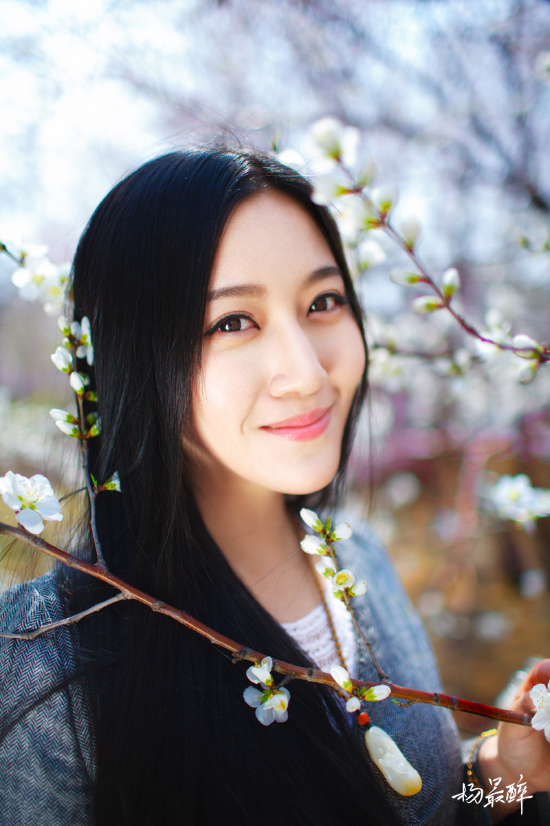 紫珏花——杨最醉