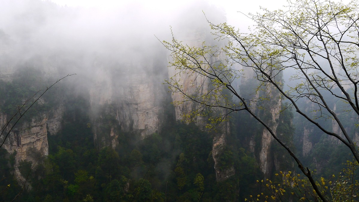 烟雨迷濛张家界