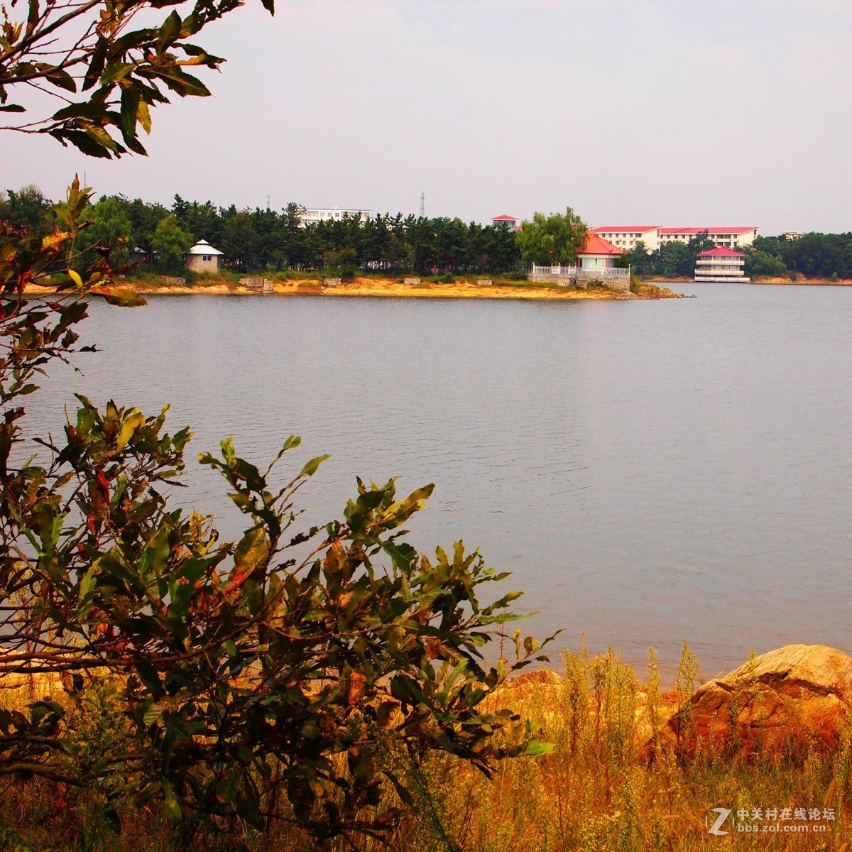 醉美铜山湖--媒体报道发现“水怪”的地方