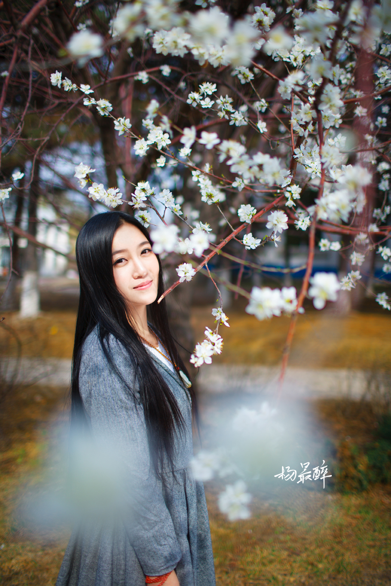 紫珏花——杨最醉