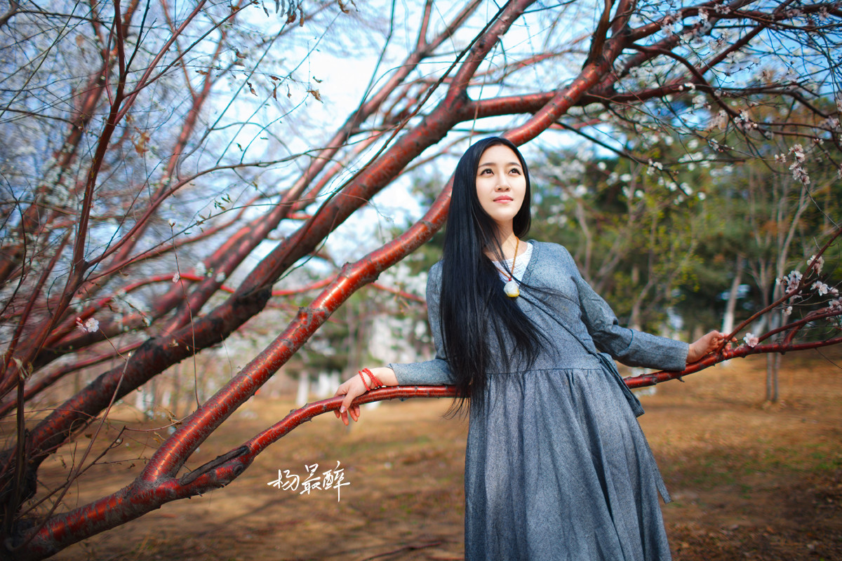 紫珏花——杨最醉