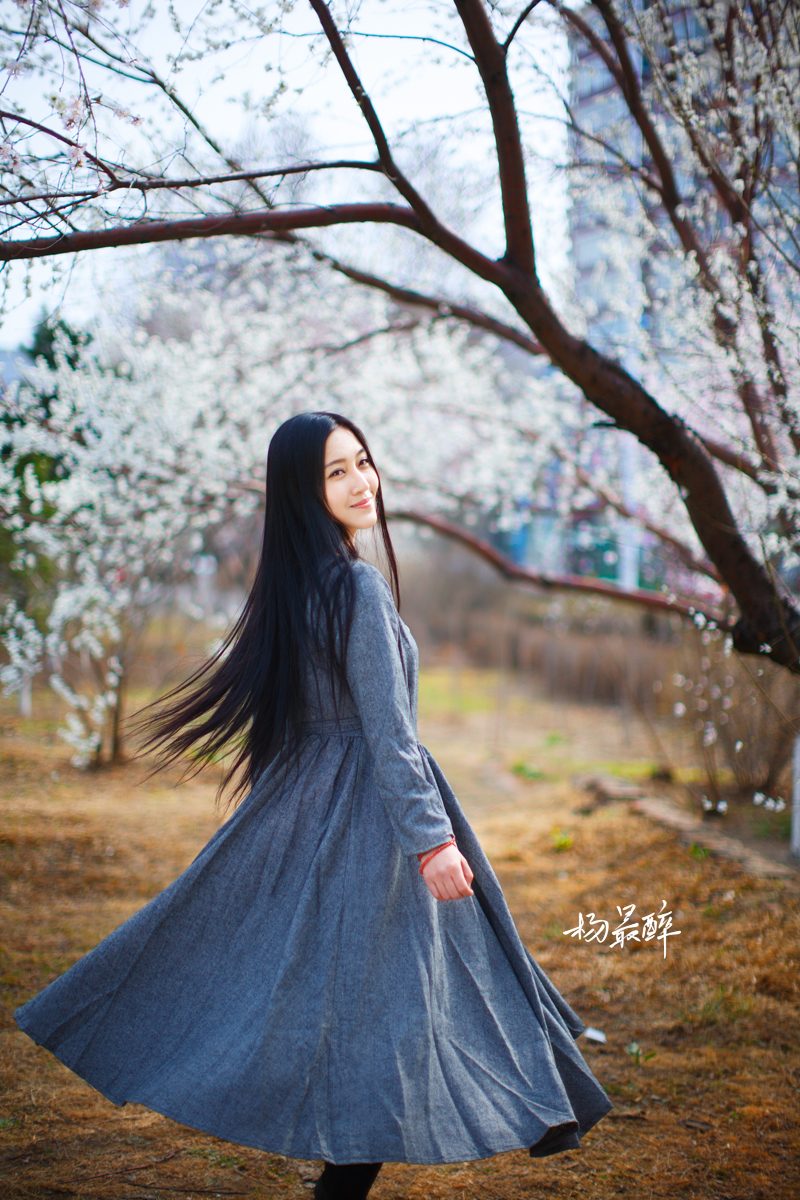 紫珏花——杨最醉