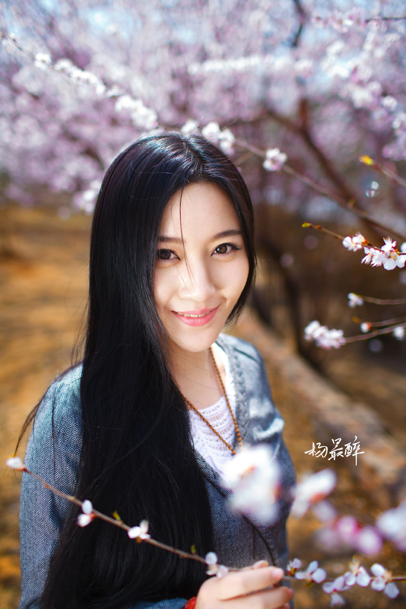 紫珏花——杨最醉