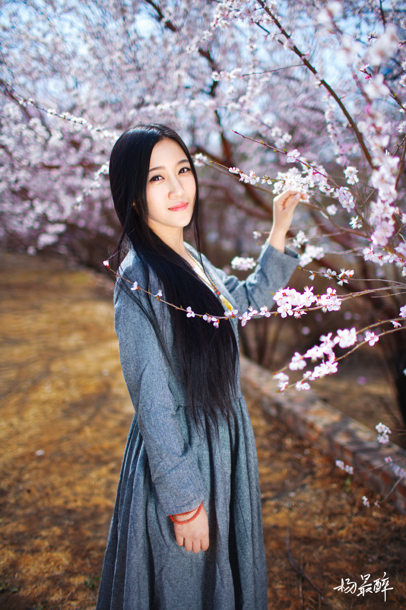 紫珏花——杨最醉