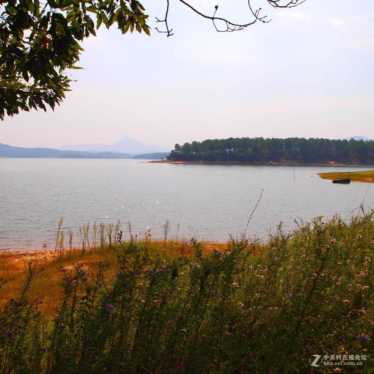 醉美铜山湖--媒体报道发现“水怪”的地方