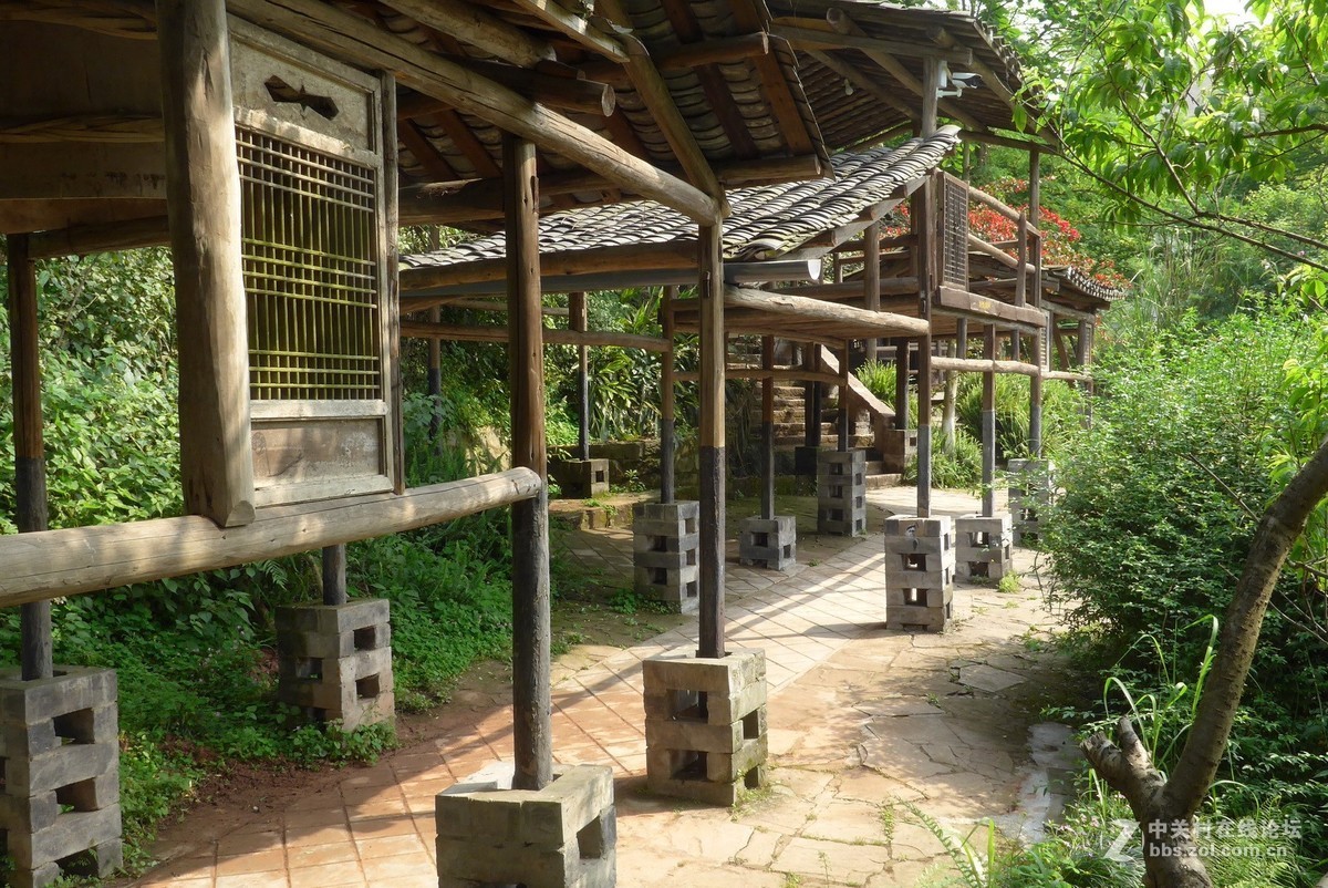 四川美院新校区游拍