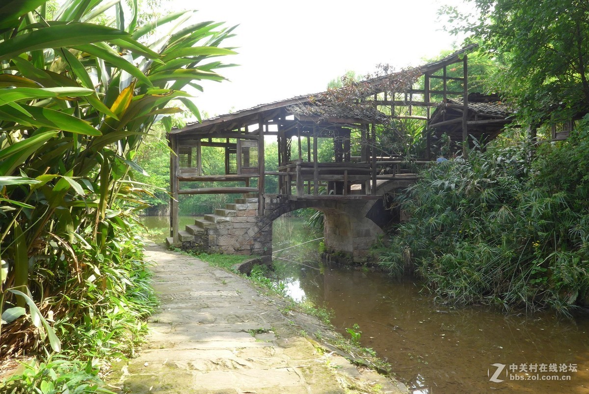 四川美院新校区游拍