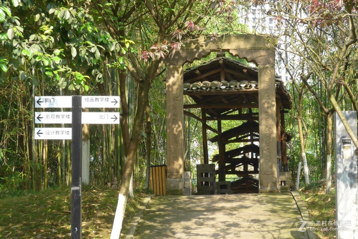 四川美院新校区游拍