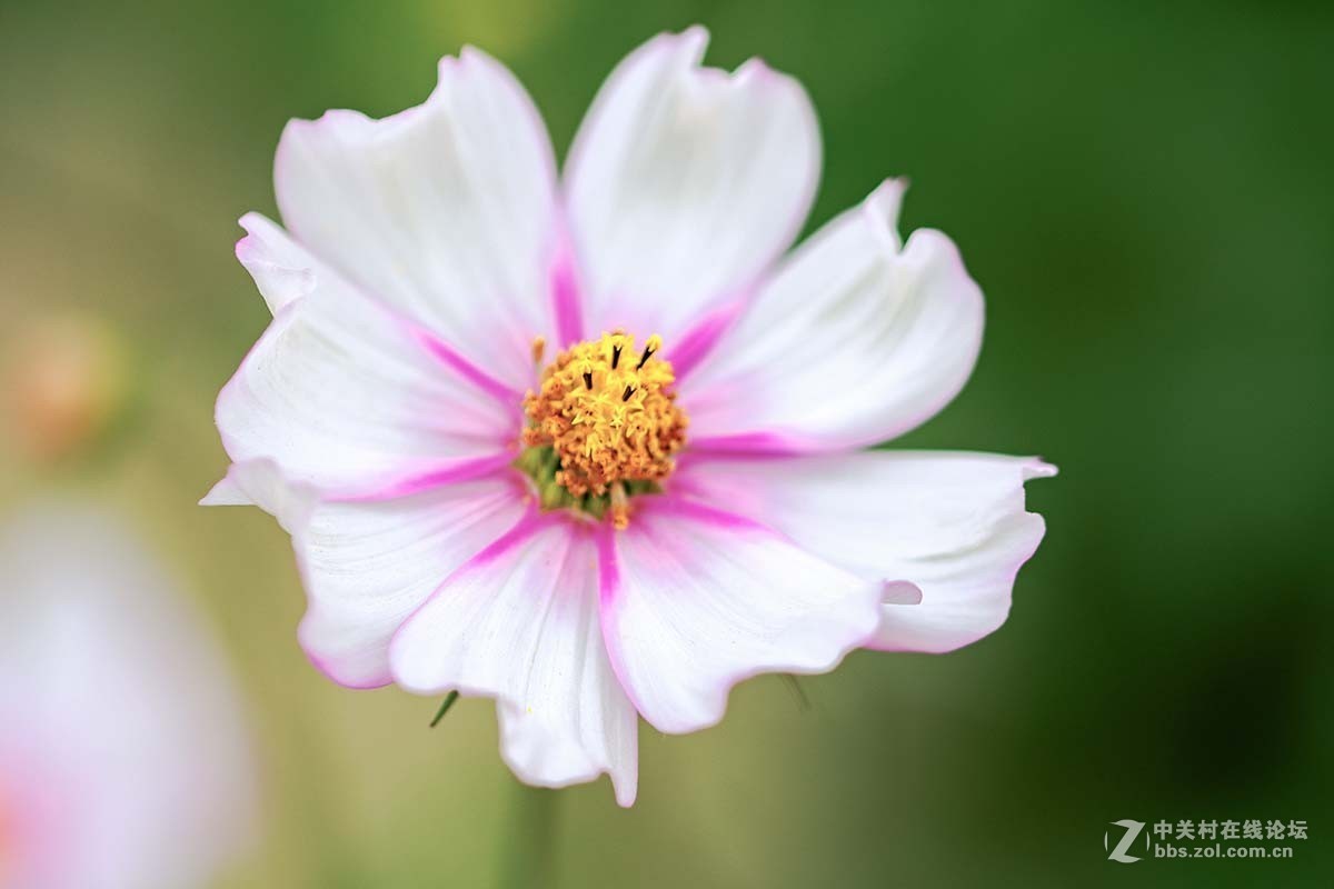 季节