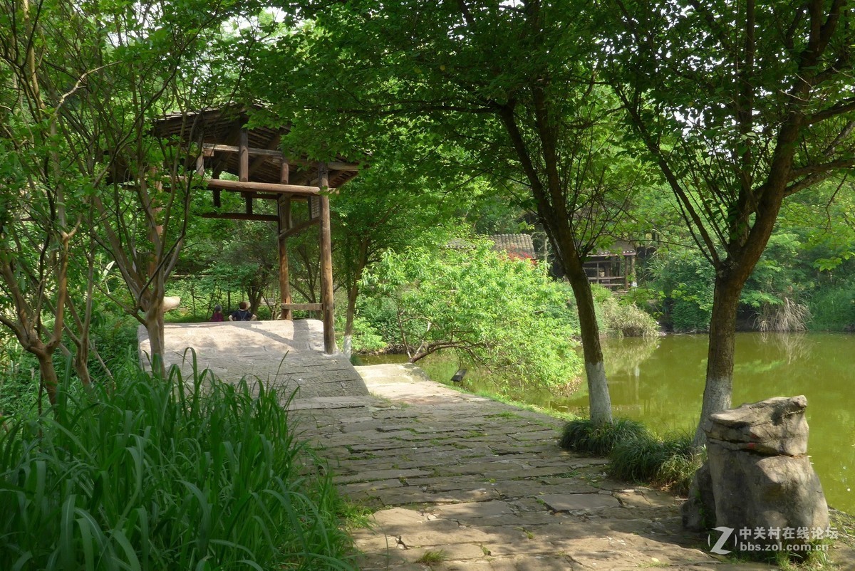 四川美院新校区游拍