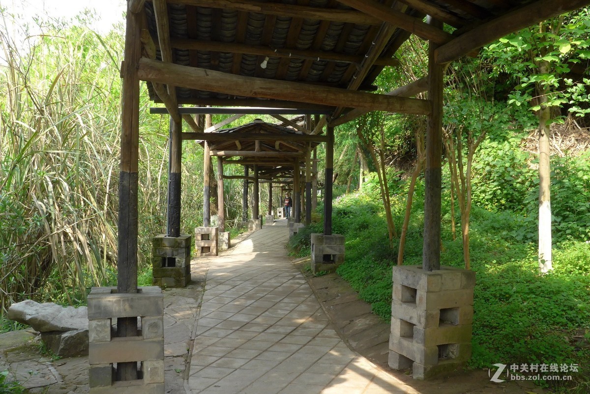 四川美院新校区游拍