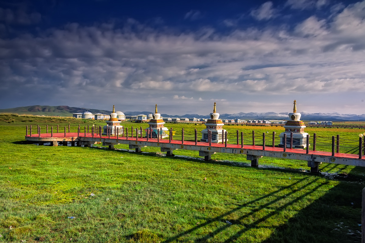 青海金银滩草原