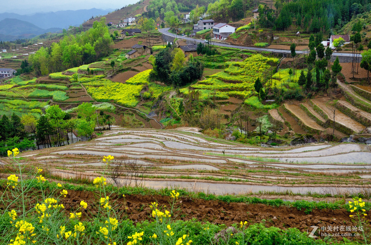 云雾缭绕风堰古梯田