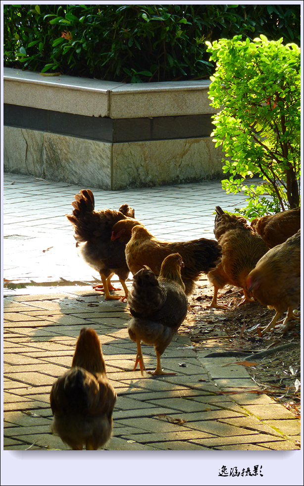 国庆节的记录-度假区映象