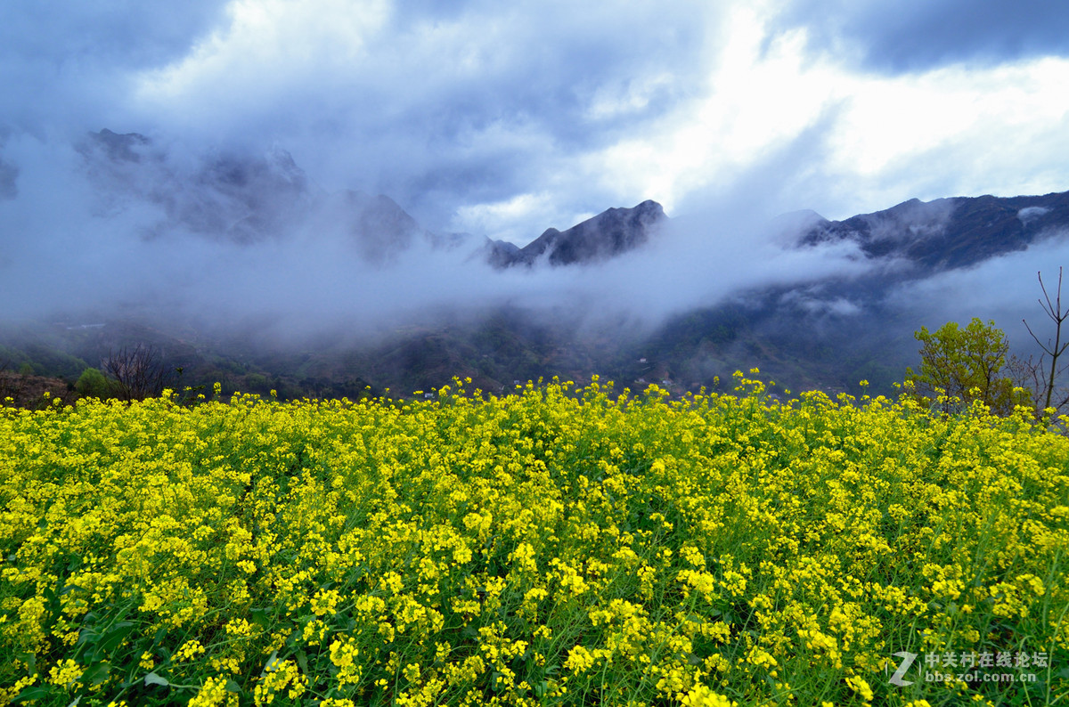 云雾缭绕风堰古梯田