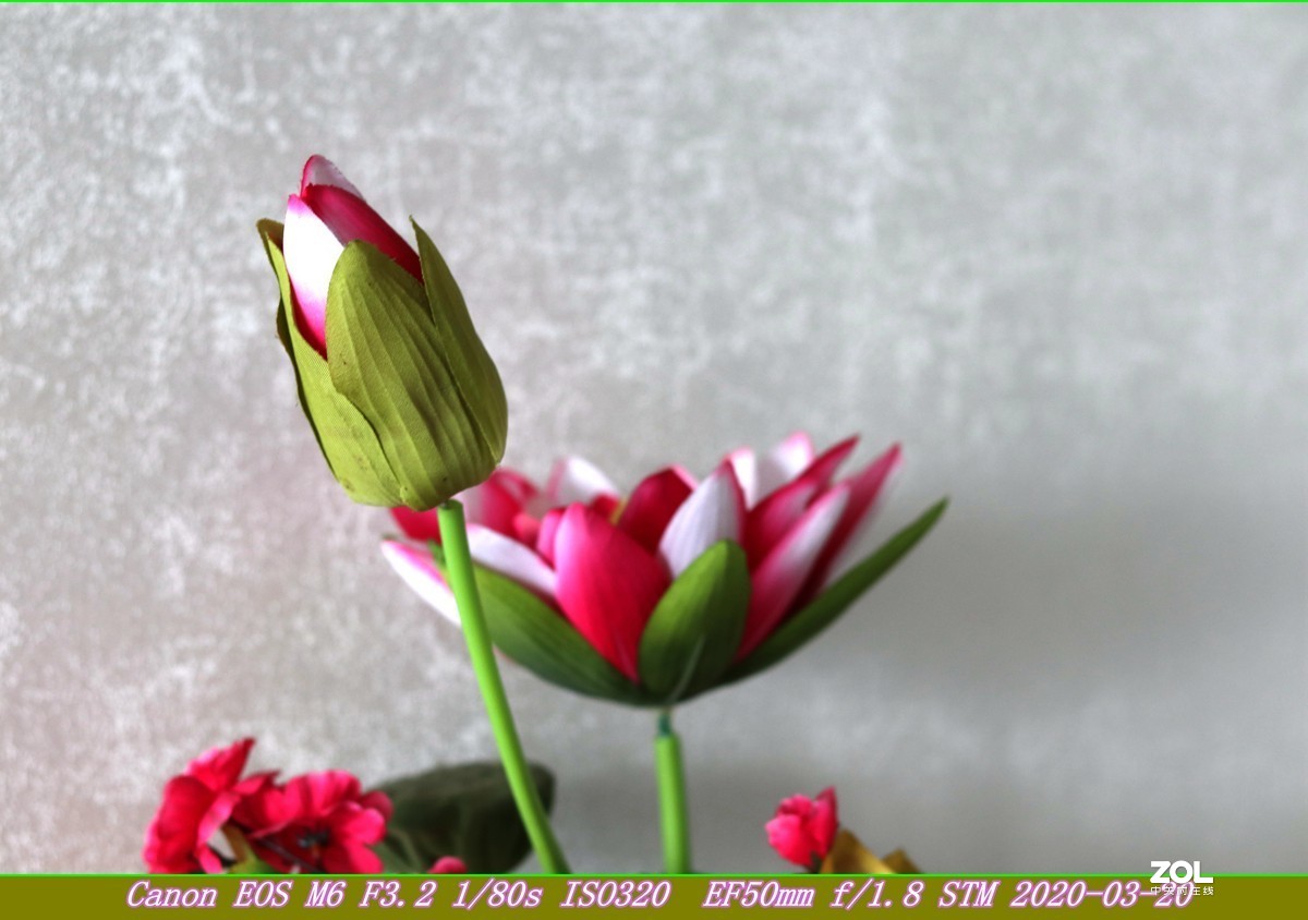 EF50mmF1.8转接到M6微单试机