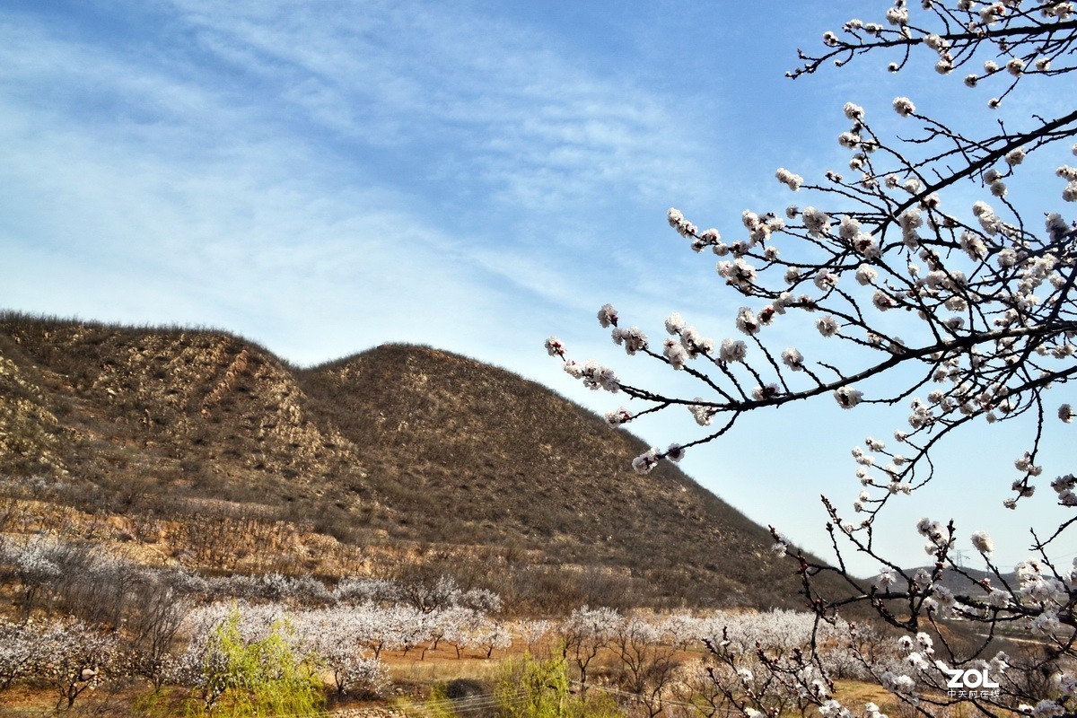 五峰山下春意浓！